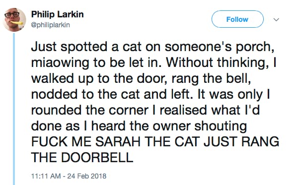 Just spotted a cat on someone's porch, miaowing to be let in. Without thinking, I walked up to the door, rang the bell, nodded to the cat and left. It was only I rounded the corner I realised what I'd done as I heard the owner shouting FUCK ME SARAH THE CAT JUST RANG THE DOORBELL