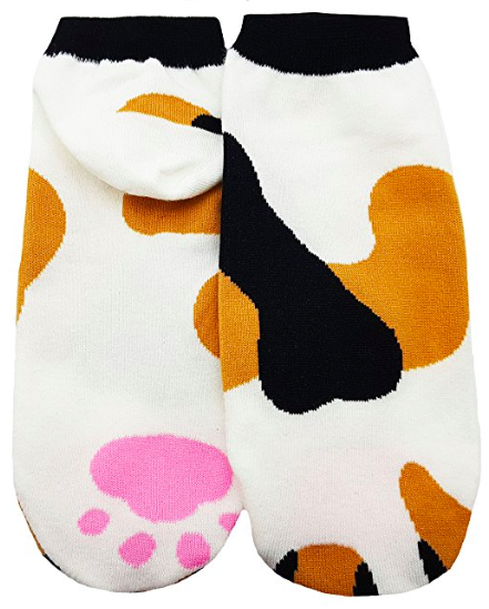 cat paw