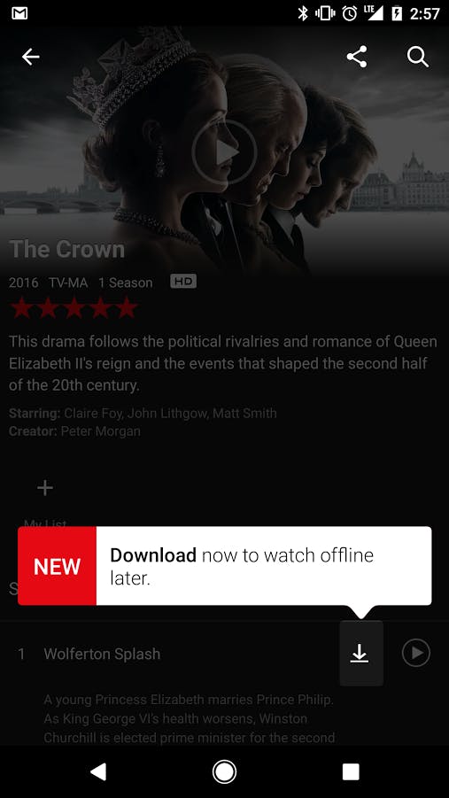 How to download Netflix