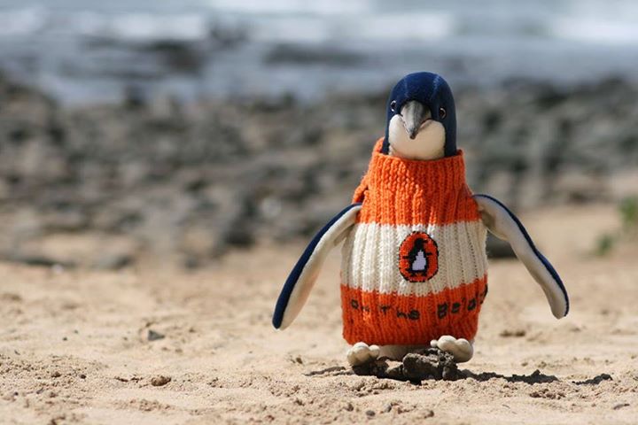 man knits penguin sweaters