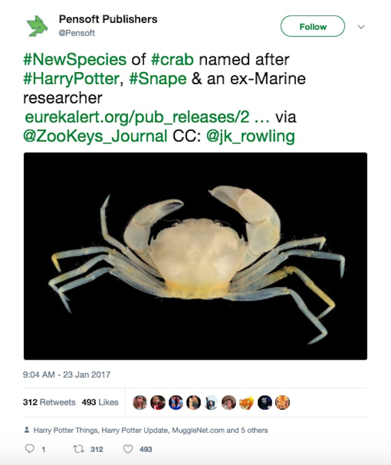 severus snape crab