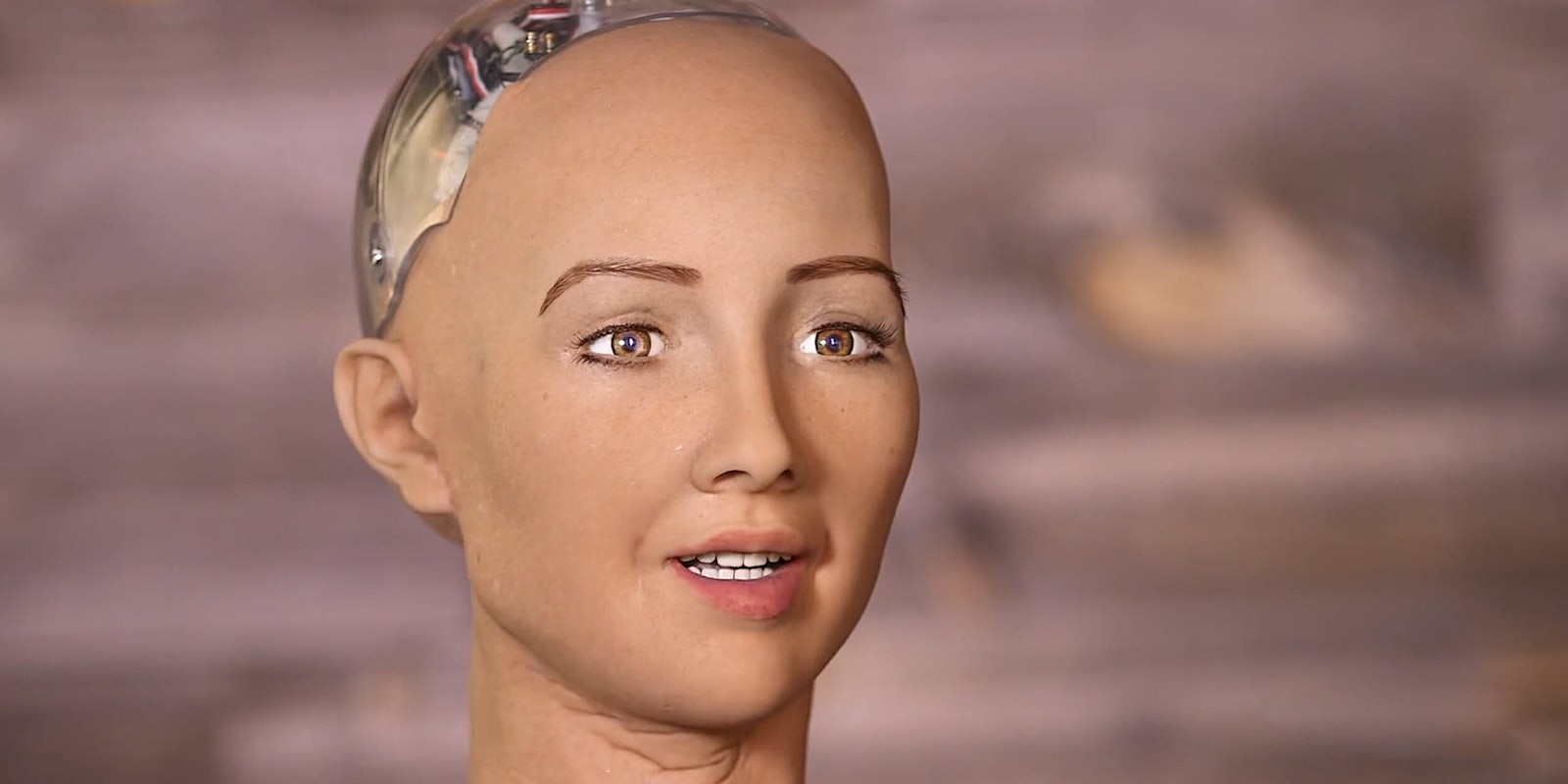 Sophia the humanlike robot