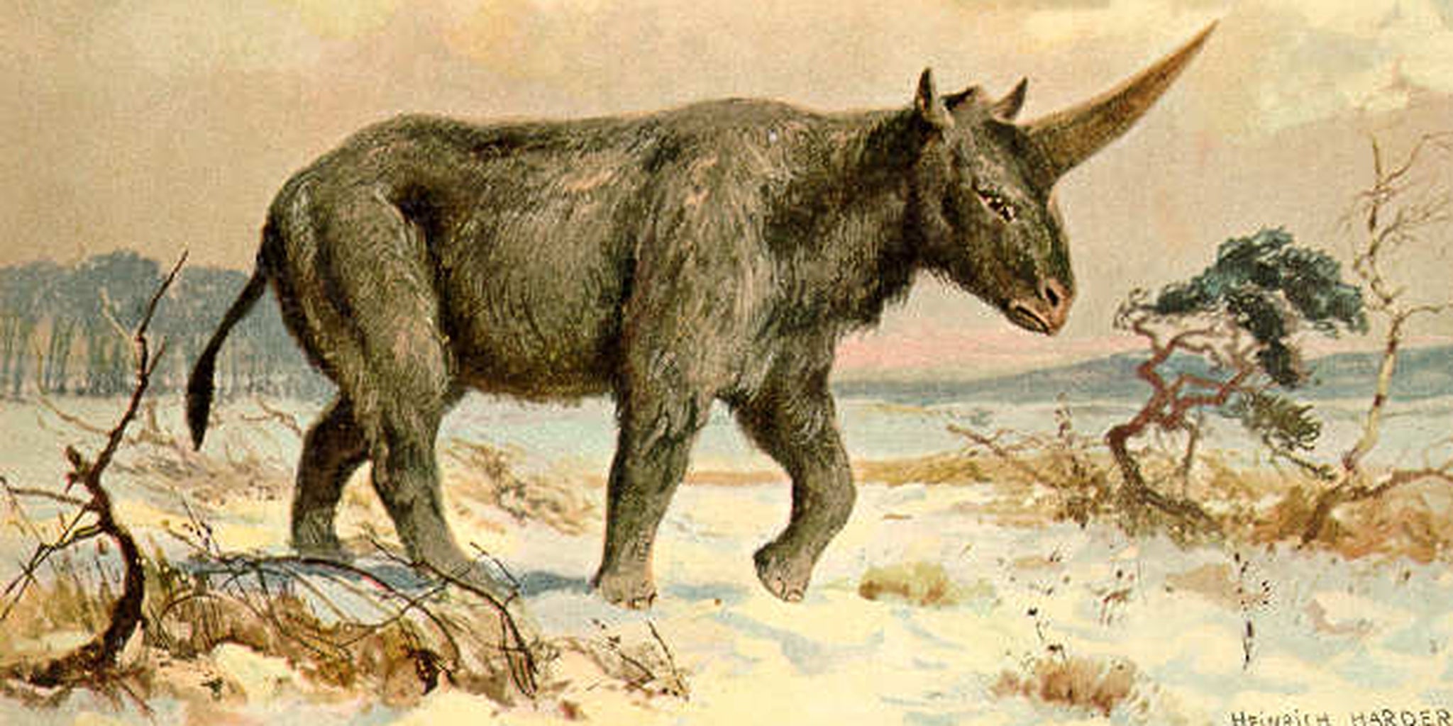 Unicorns really existed, science says The Daily Dot