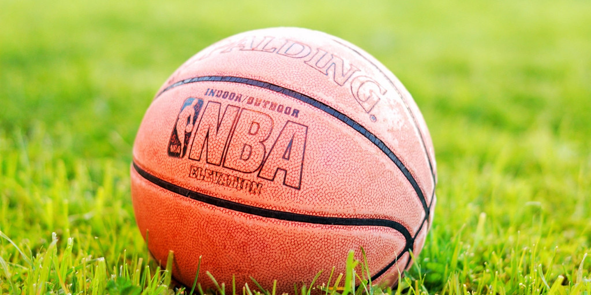 Homepage article image