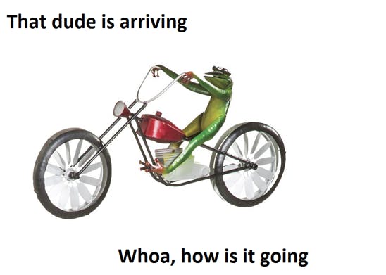 dat boi frog on a motorcycle