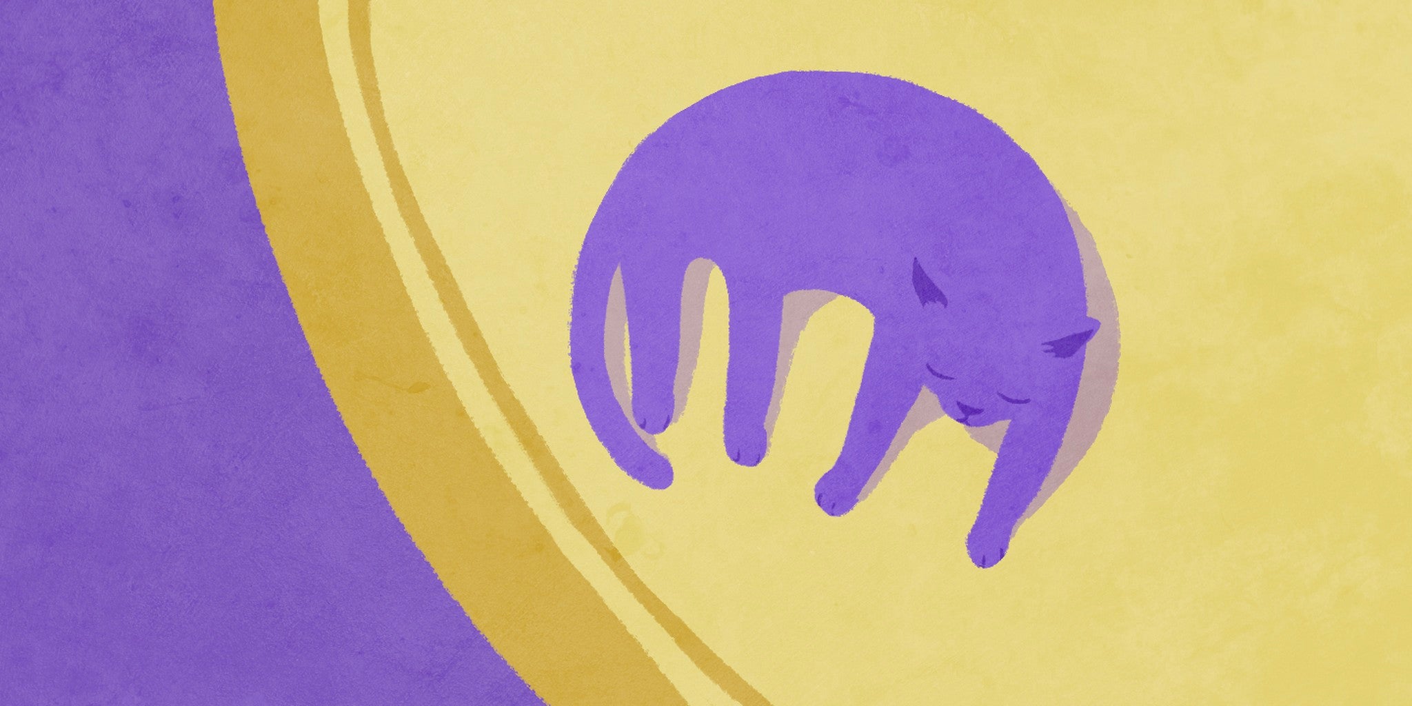 Can my spazzedout cat be calmed by YouTube cat music?