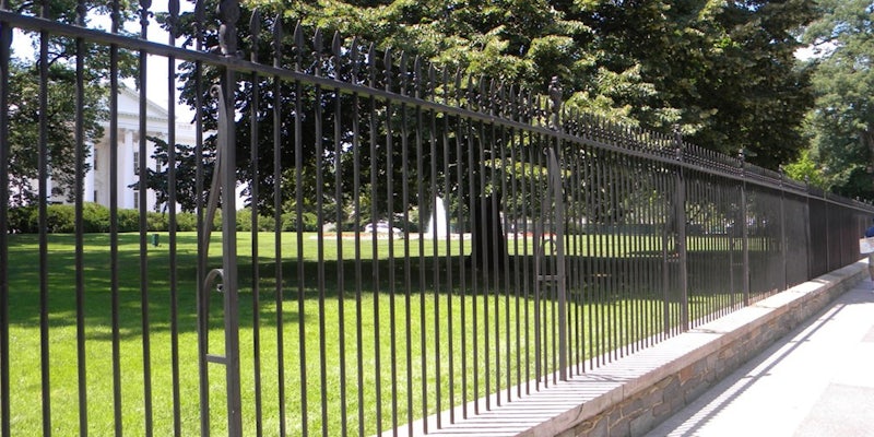 A look back at the strangest White House fence-jumpers