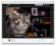 How To Take A Screenshot On A Mac Touch Screen Quotekop
