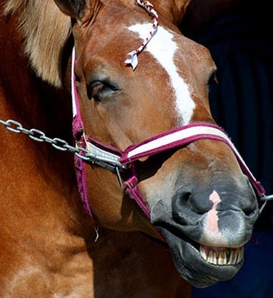 Homepage article image