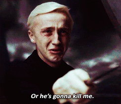 Harry Potter: 10 Memes That Sum Up Draco And Harry's Relationship