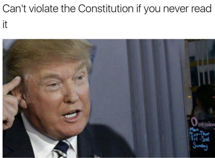 best donald trump memes: roll safe can't violate constitution