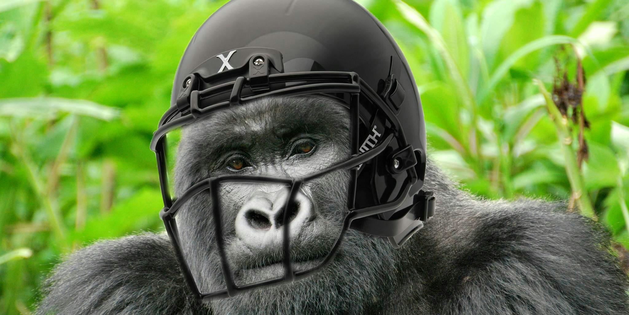 Boston College QB Patrick Towles dedicates 2016 season to Harambe