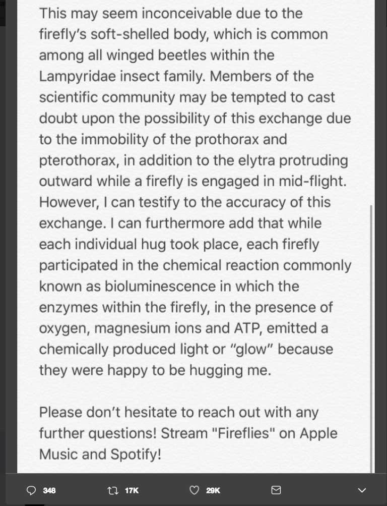 Owl City fireflies