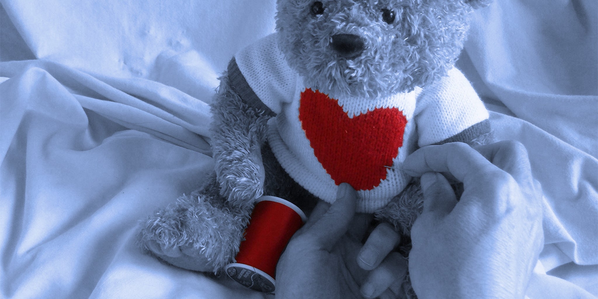 Homepage article image