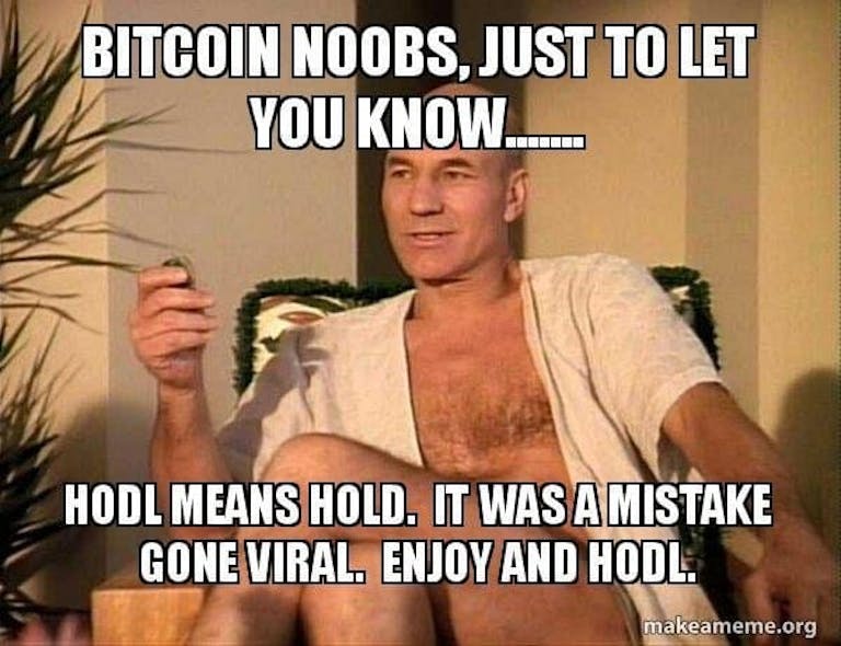 bitcoin hodl meme