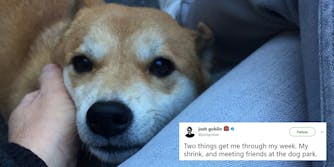 Josh Groban tweet at dog park before shooting "Two things get me through my week. My shrink, and meeting friends at the dog park."