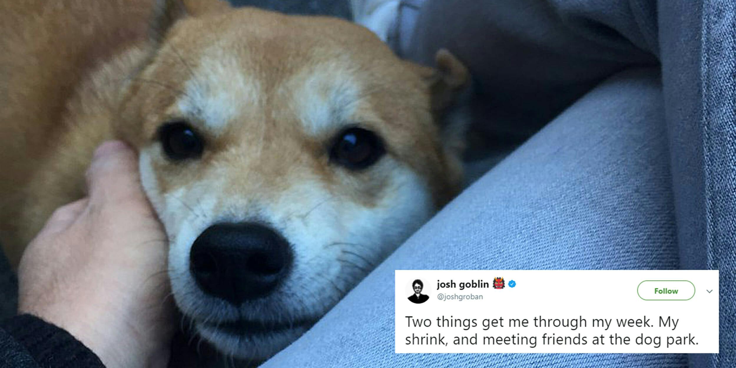 Josh Groban tweet at dog park before shooting "Two things get me through my week. My shrink, and meeting friends at the dog park."