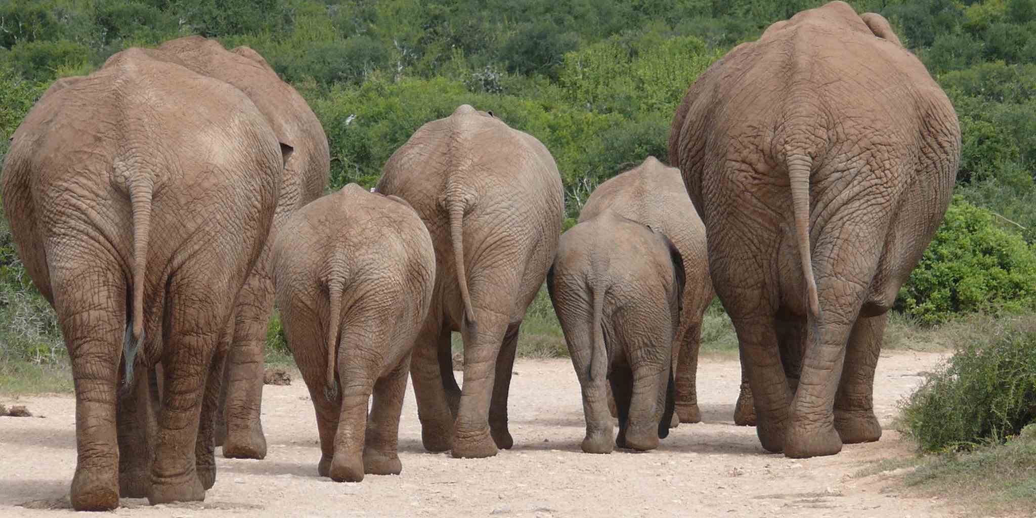 Homepage article image