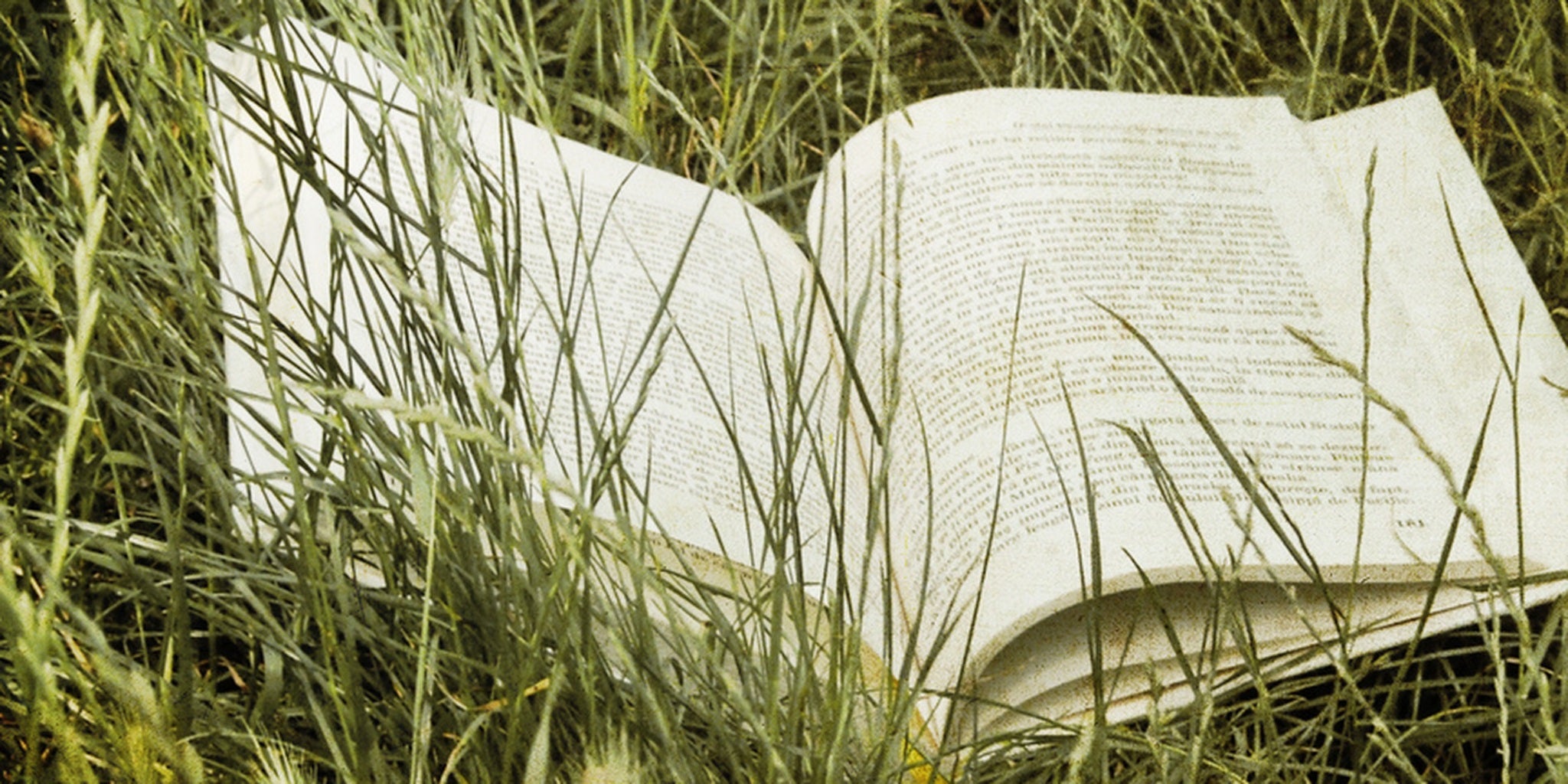 Homepage article image