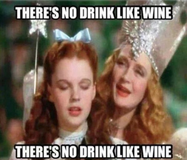 wine memes