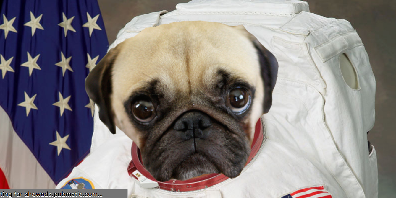 weinstein chrome extension pug in space