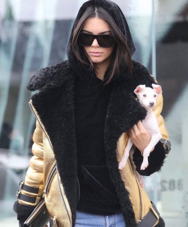 Who has the most followers on Instagram: Kendall Jenner