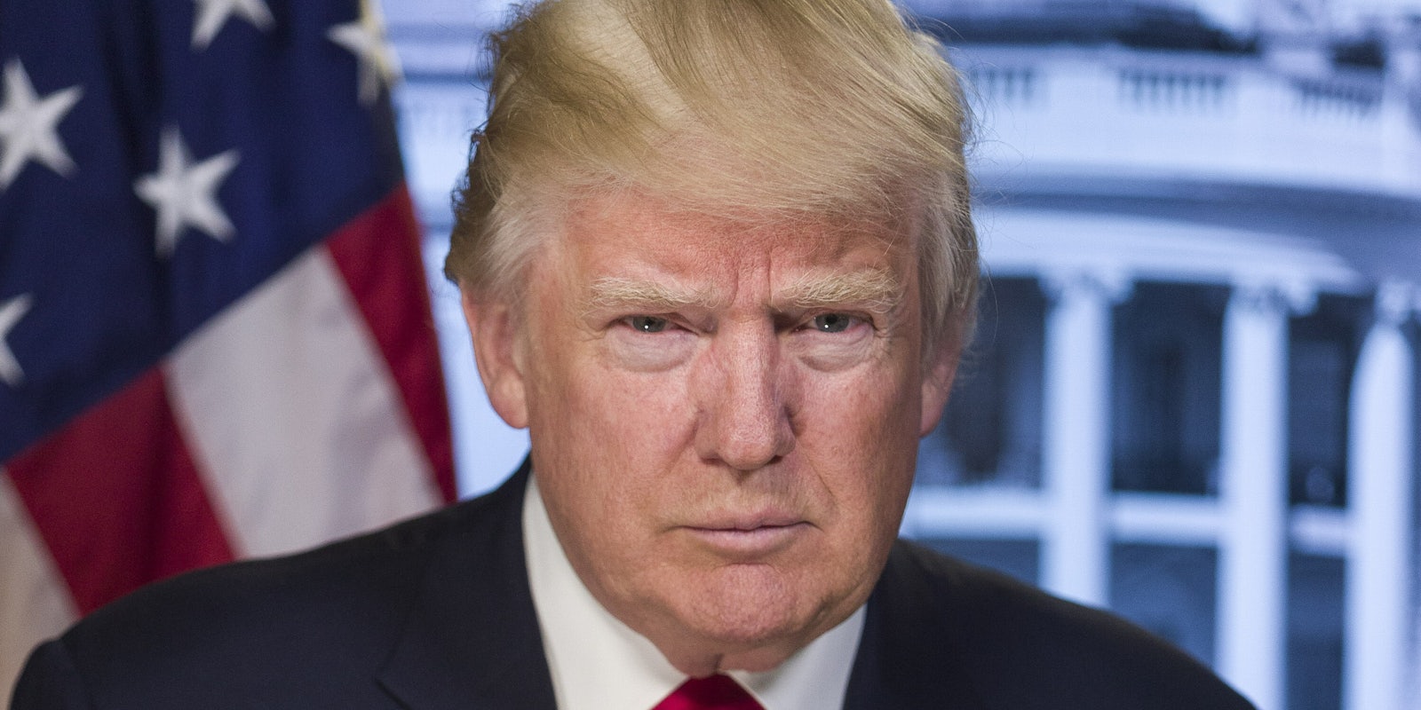 President Donald Trump Official Portrait