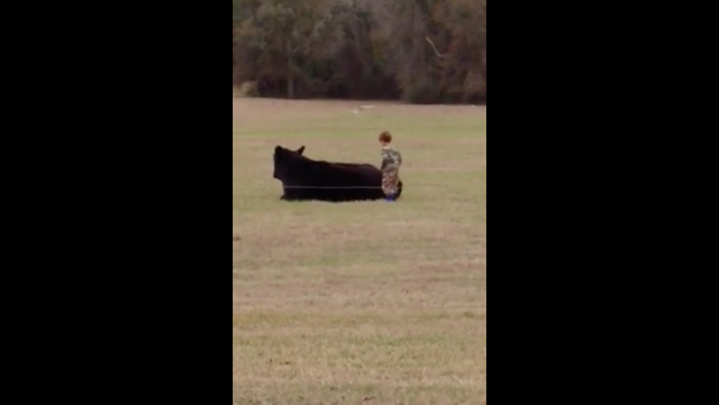 Homepage article image