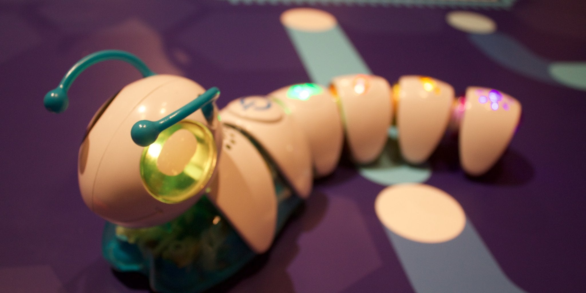 caterpillar programming toy