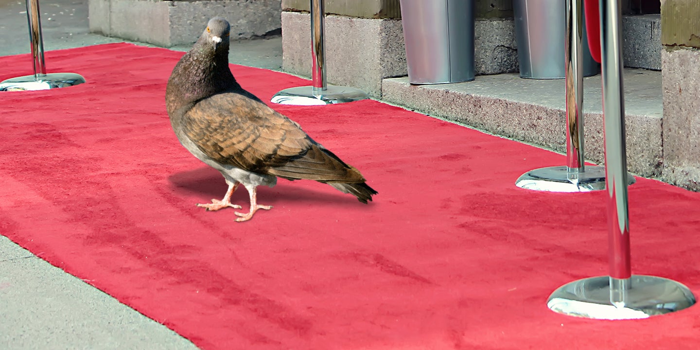 Homepage article image