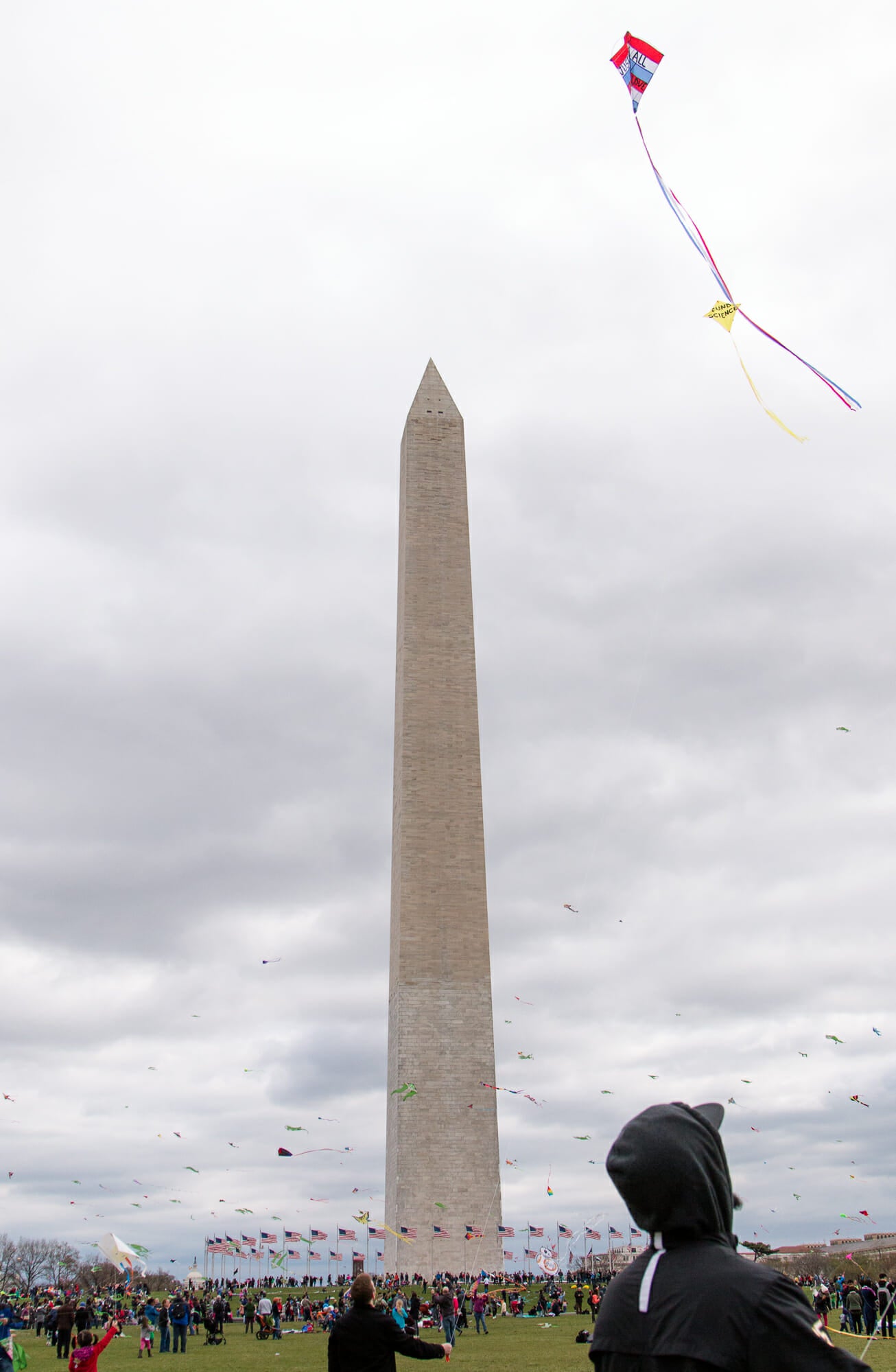 trump protest at kite festival