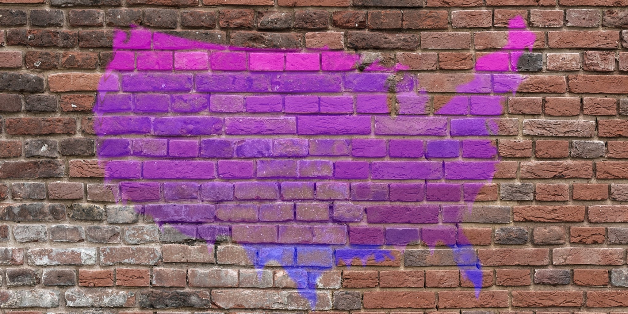 Homepage article image