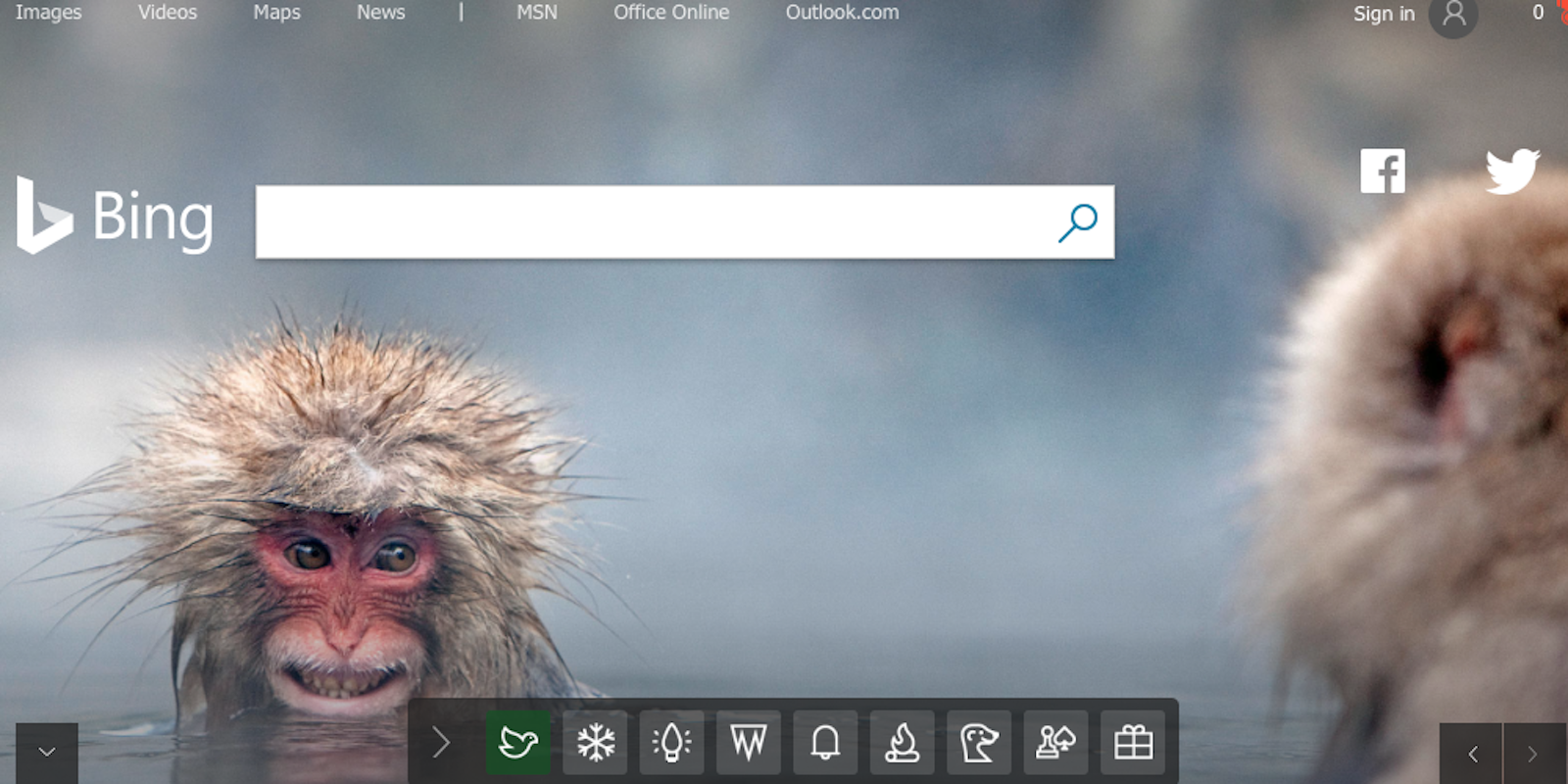 Bing homepage with snow monkeys