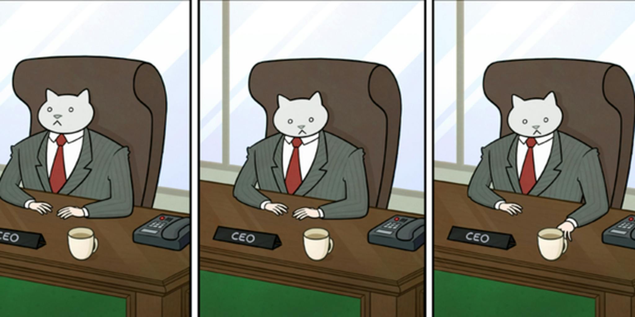 All about the astounding career of Business Cat - The Daily Dot