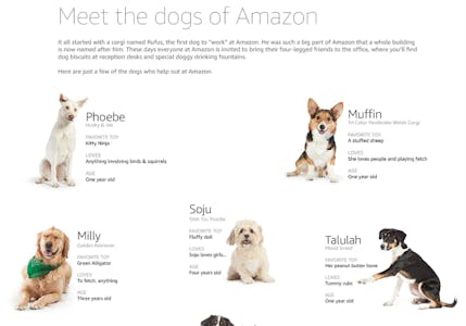 The dogs of Amazon employees