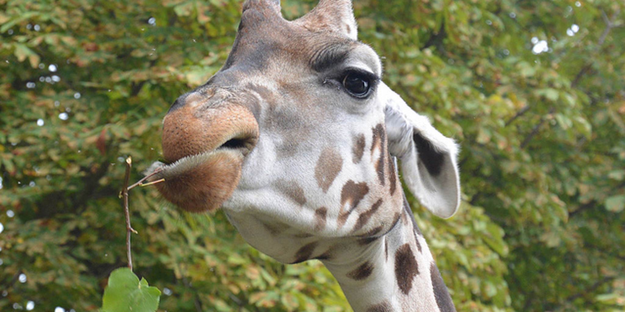 Homepage article image