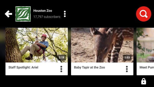 YouTube Kids Houston Zoo