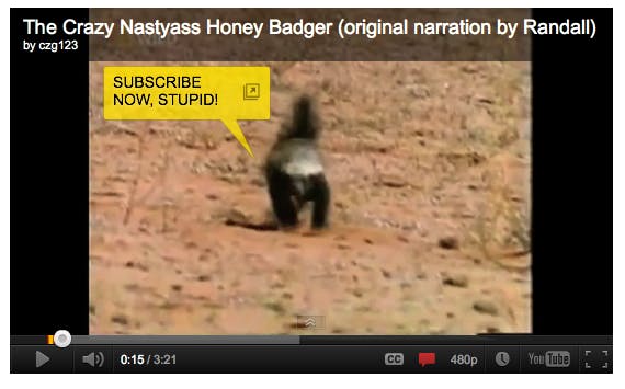 Honey Badger Dont Care If You Put It On Television 