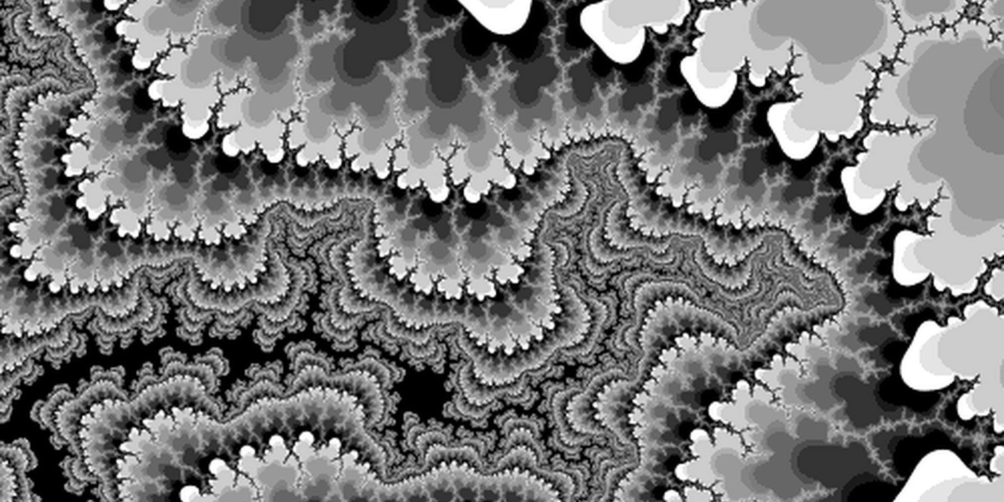 Fractal white. Фрактальная Графика черно-белая. Фракталы чёрно белые. Фрактальные изображения черно белые. Фракталы белые.