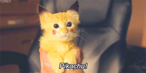 pikachu gif tumblr