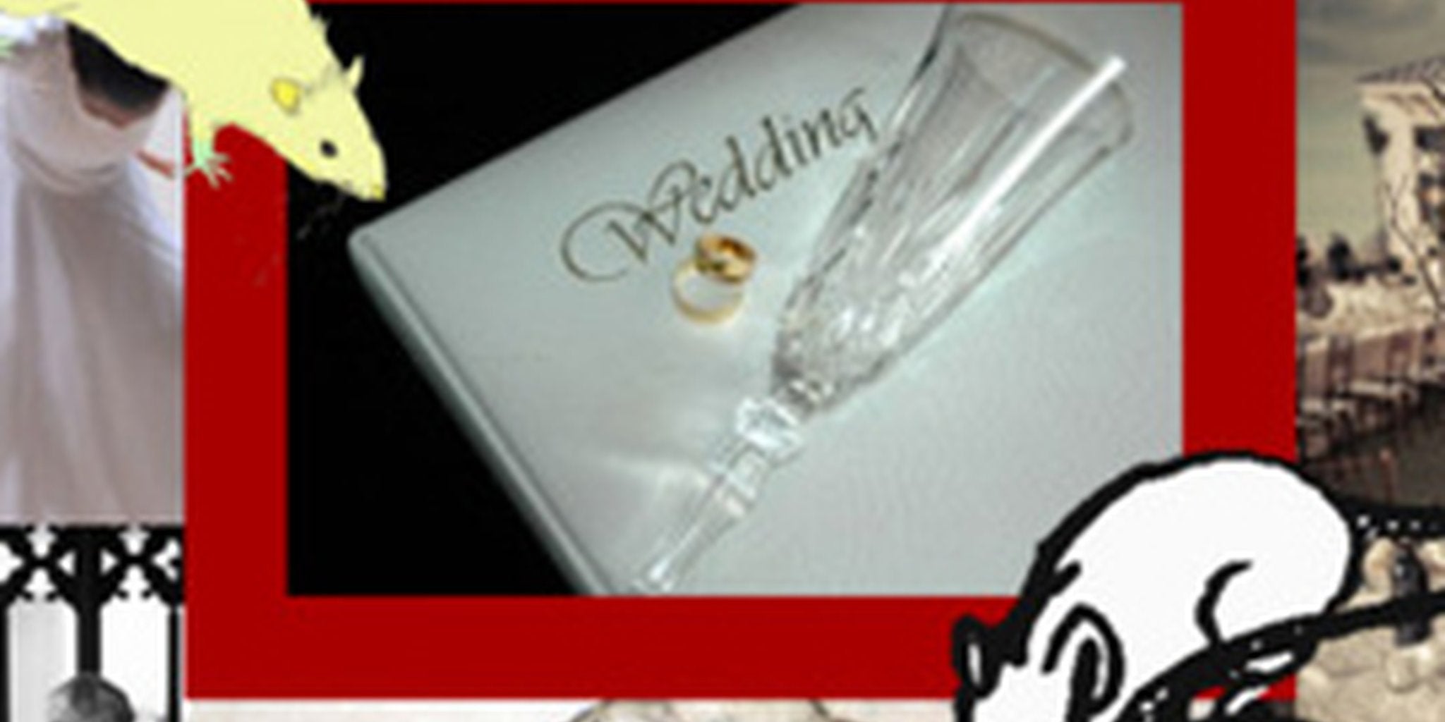 Homepage article image