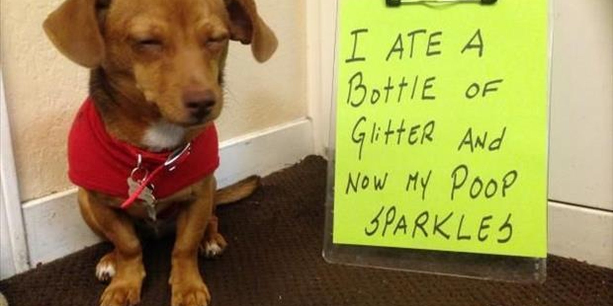 Will your poop really sparkle if you eat glitter pills? The Daily Dot