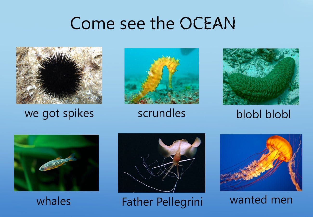 visit the ocean