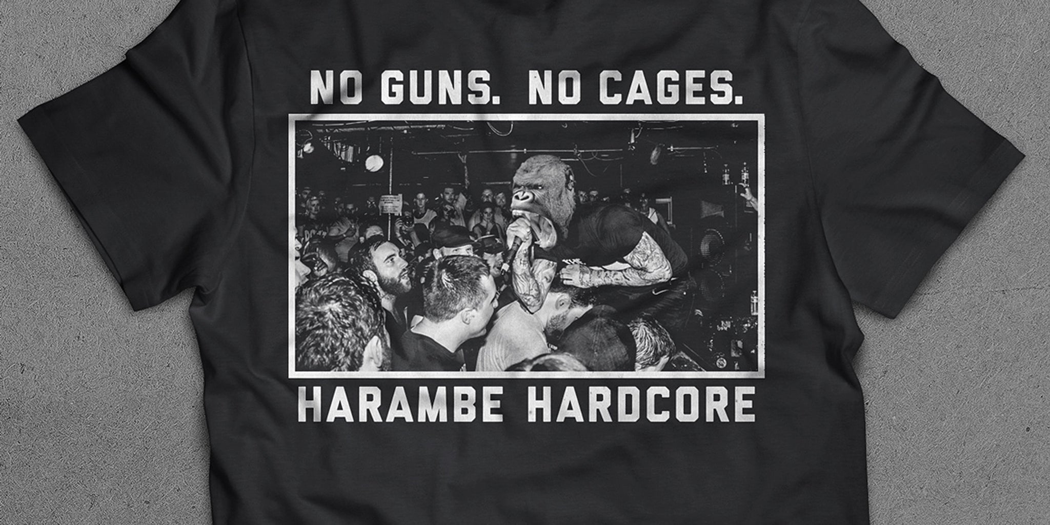 Homepage article image