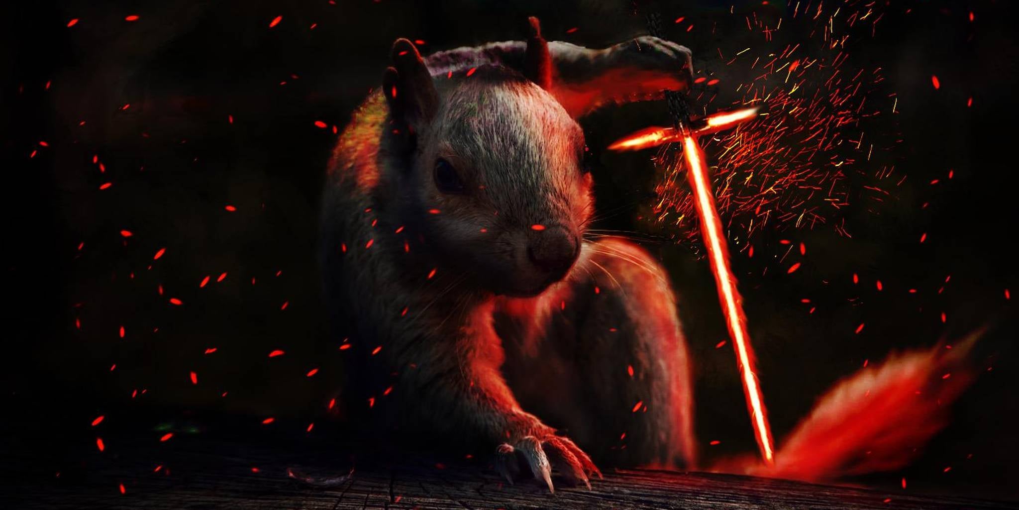 Homepage article image