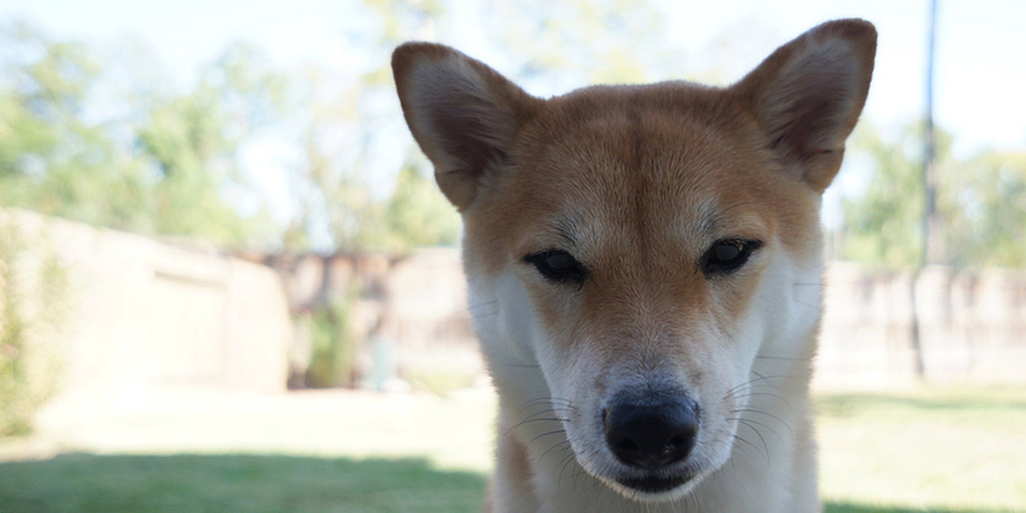 Homepage article image