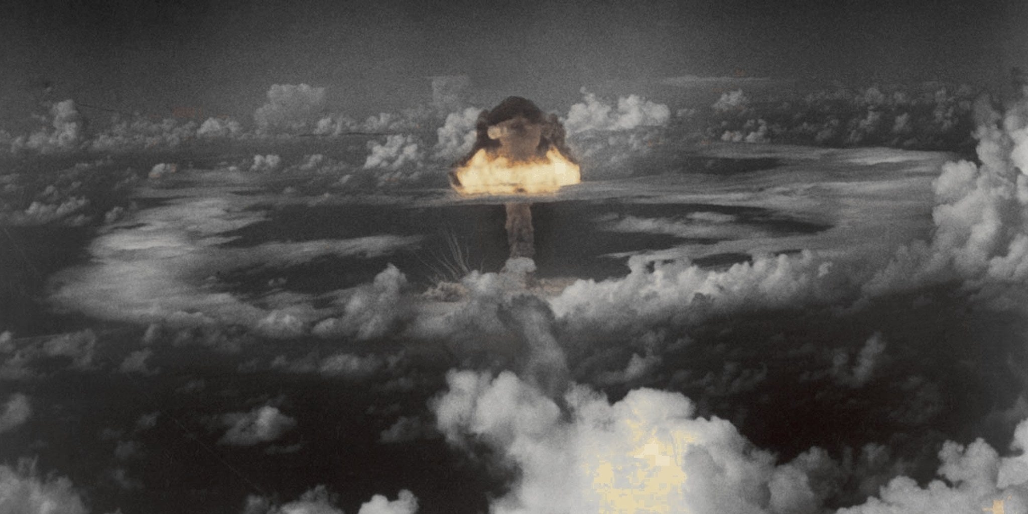 Homepage article image