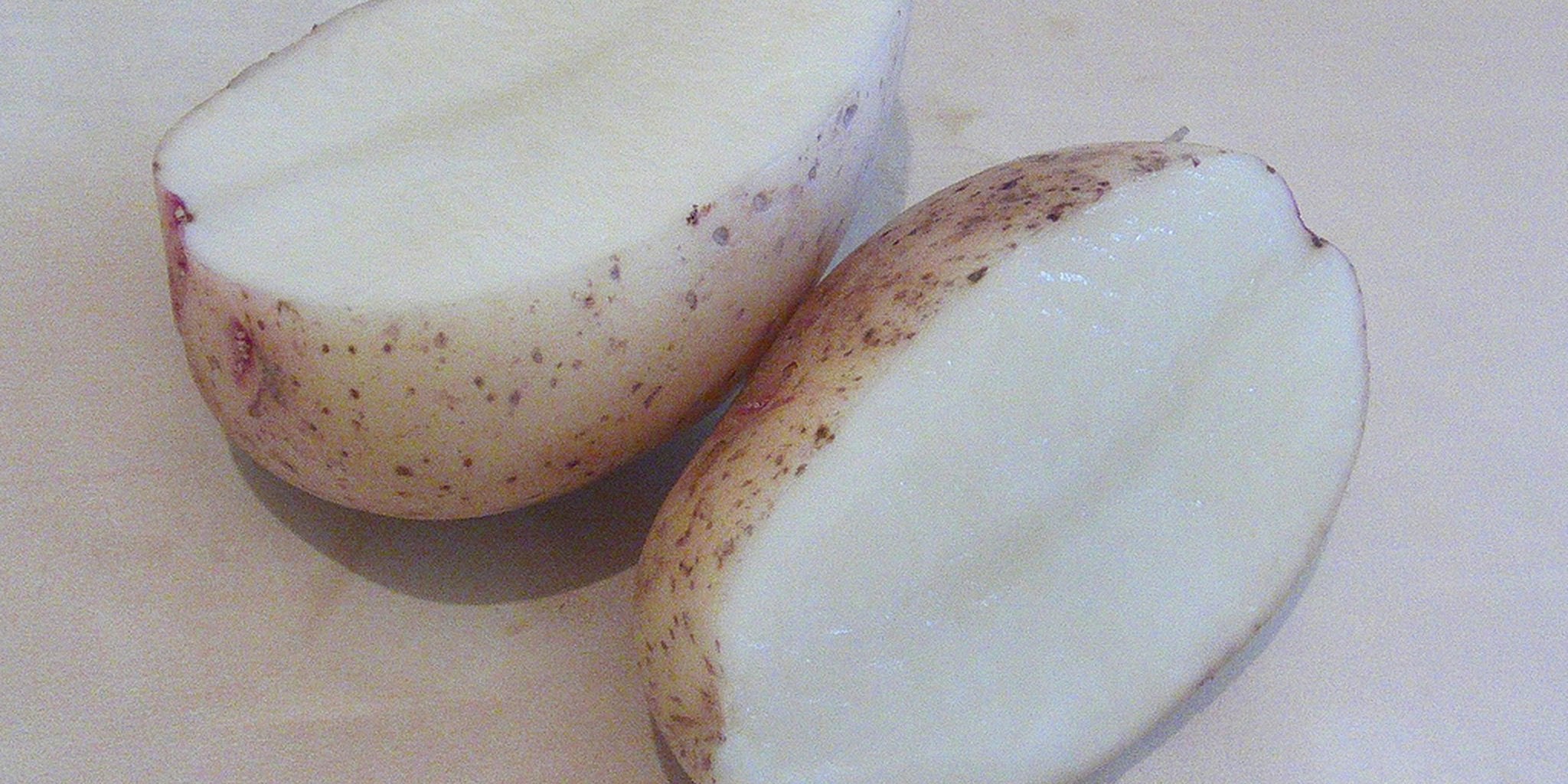 Homepage article image