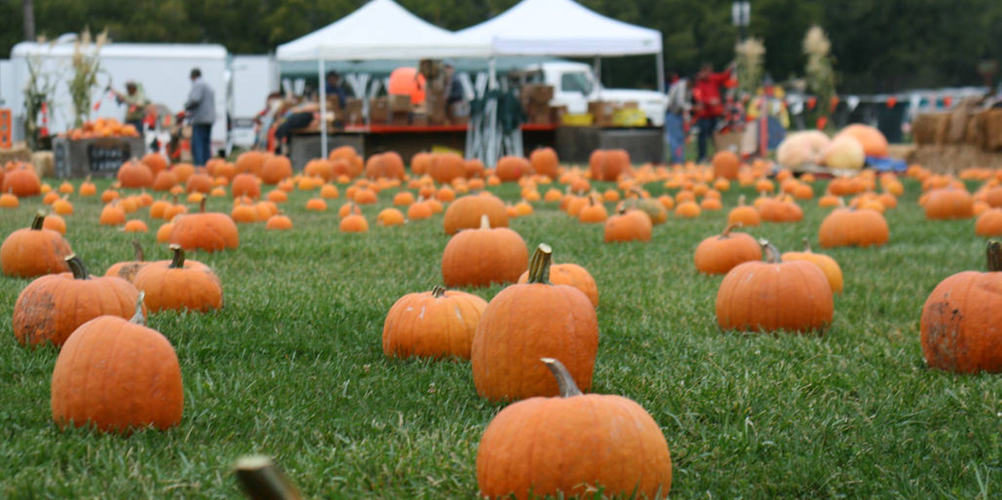 The 10 Best and Worst Cities for Celebrating Halloween