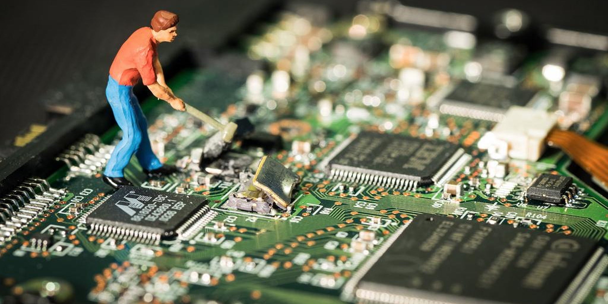 Homepage article image